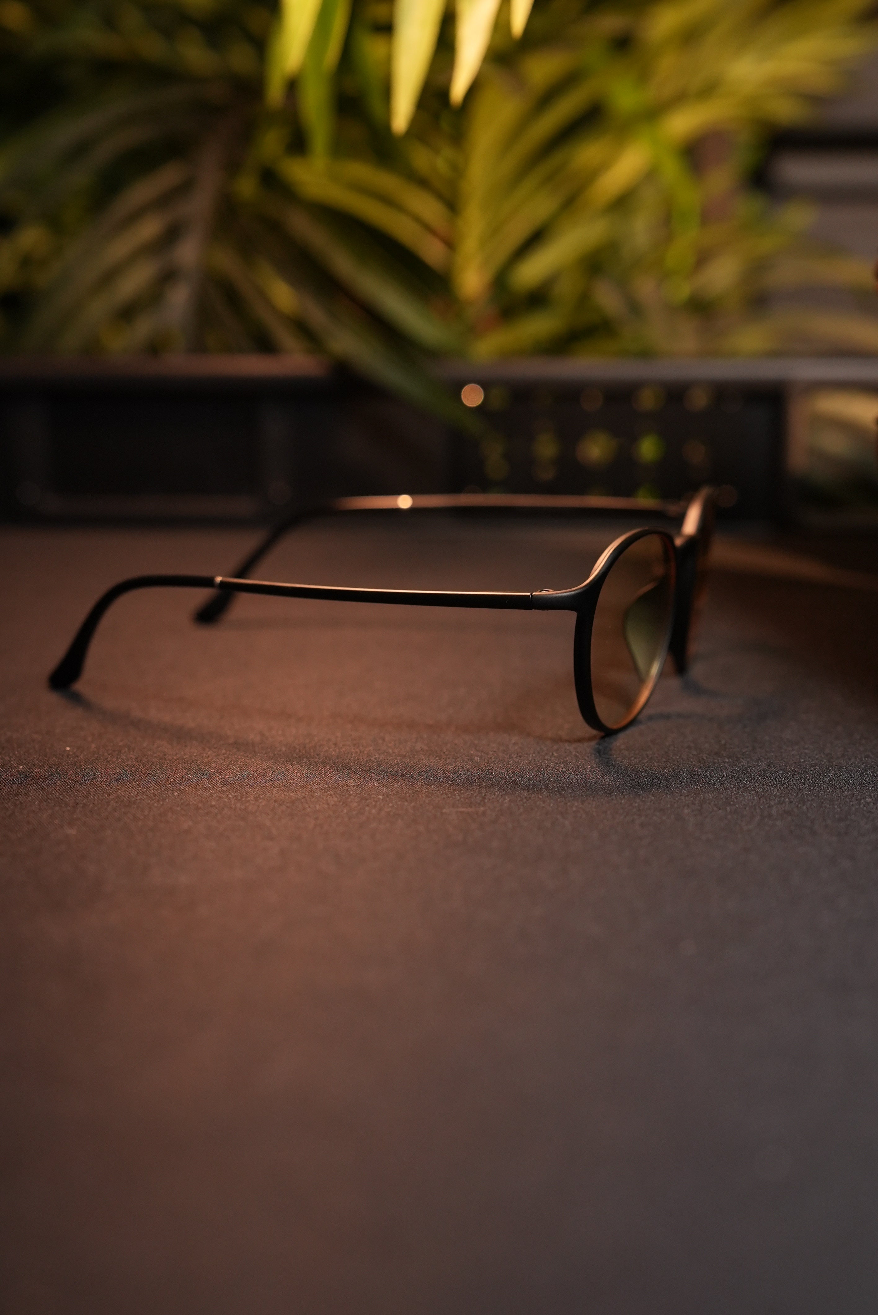 OCULARIS F.LEX V6