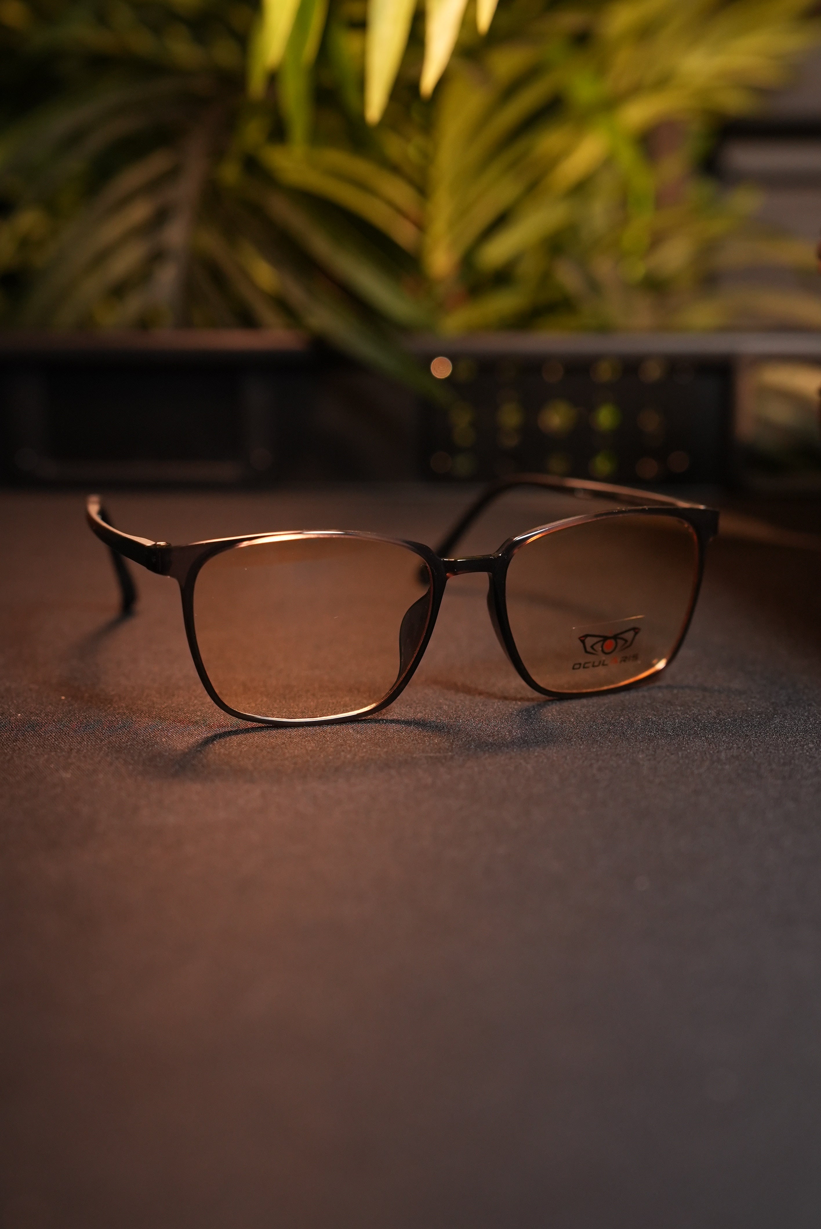 OCULARIS F.LEX V12
