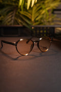 OCULARIS P.RO v4