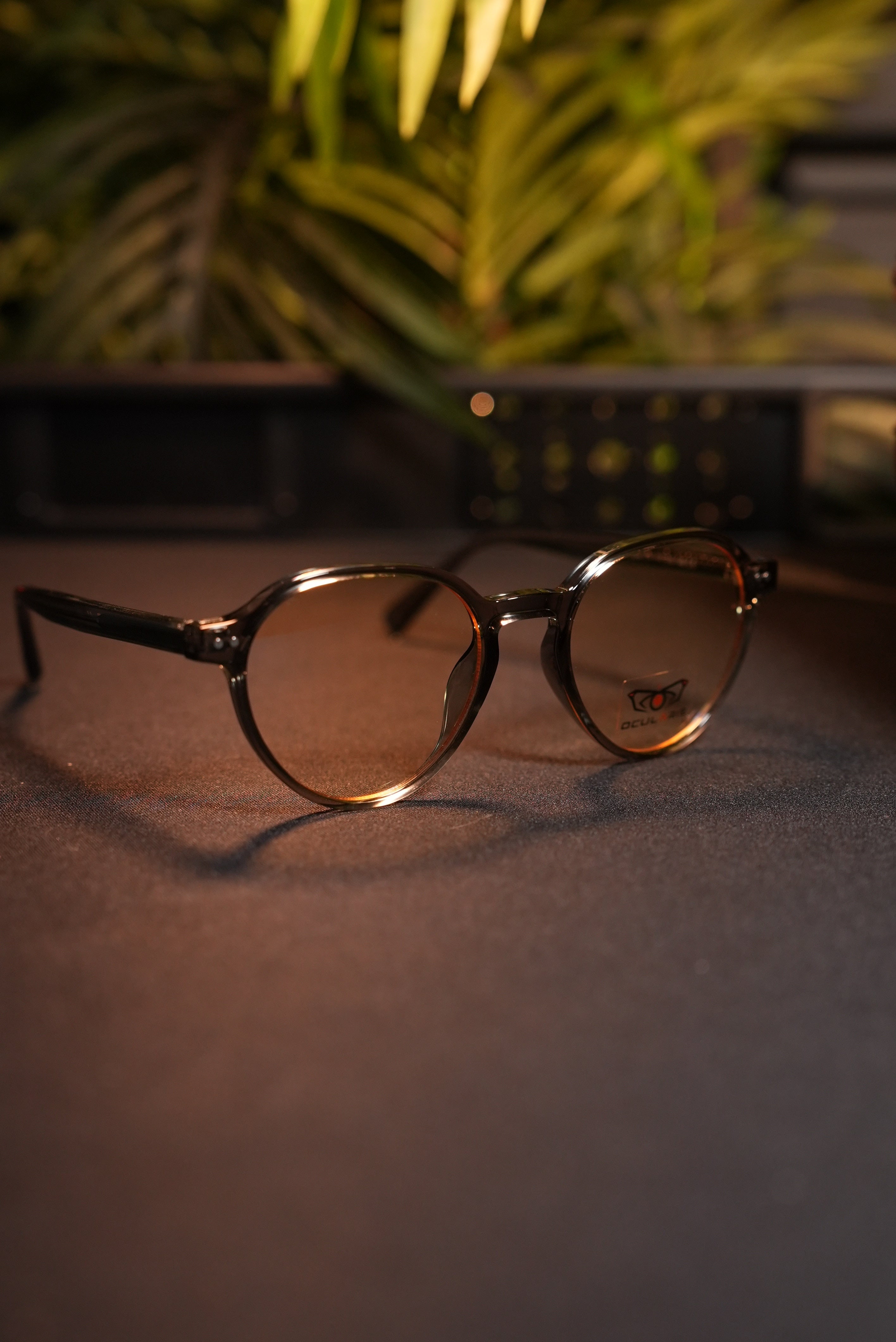 OCULARIS P.RO v4