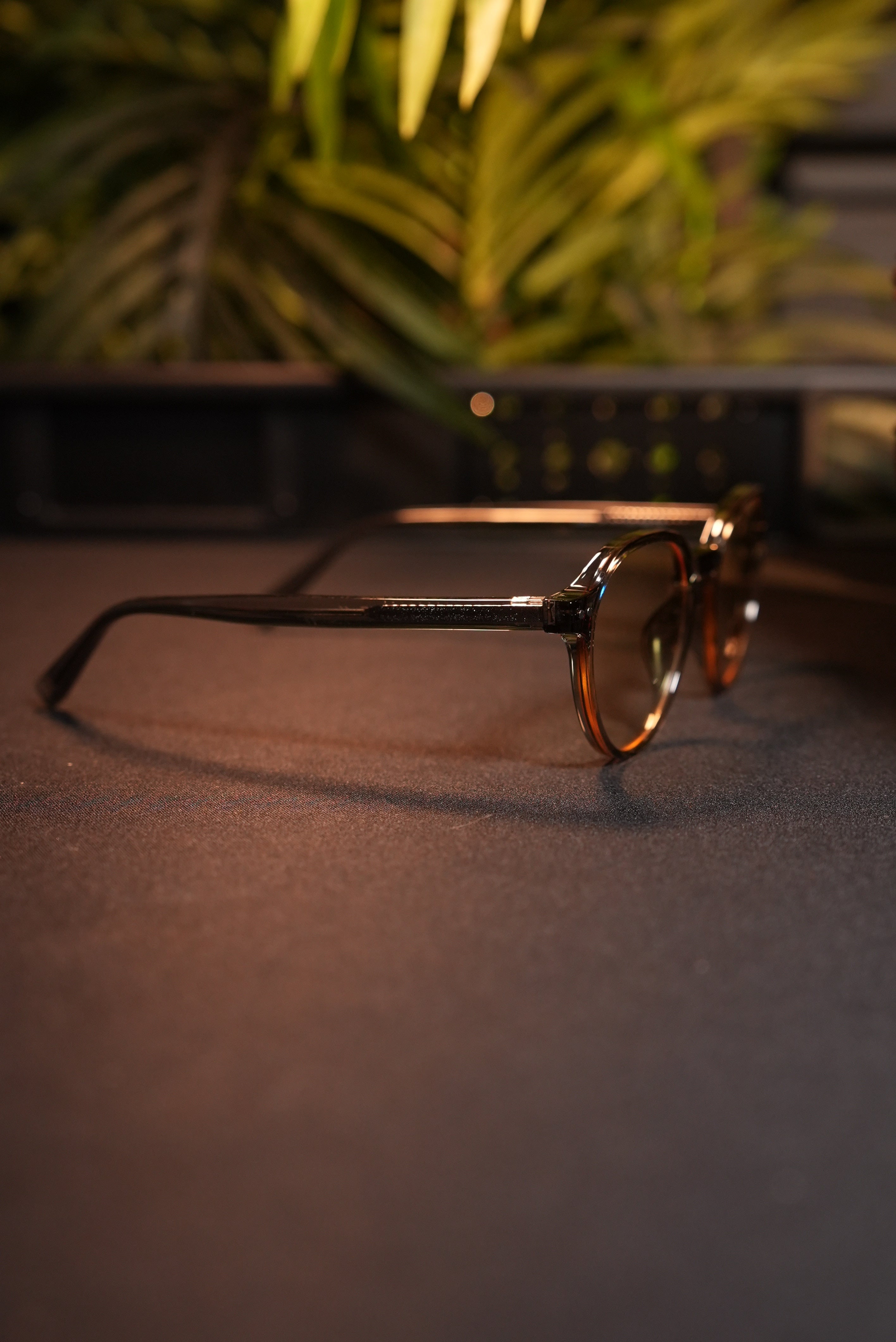 OCULARIS P.RO v4
