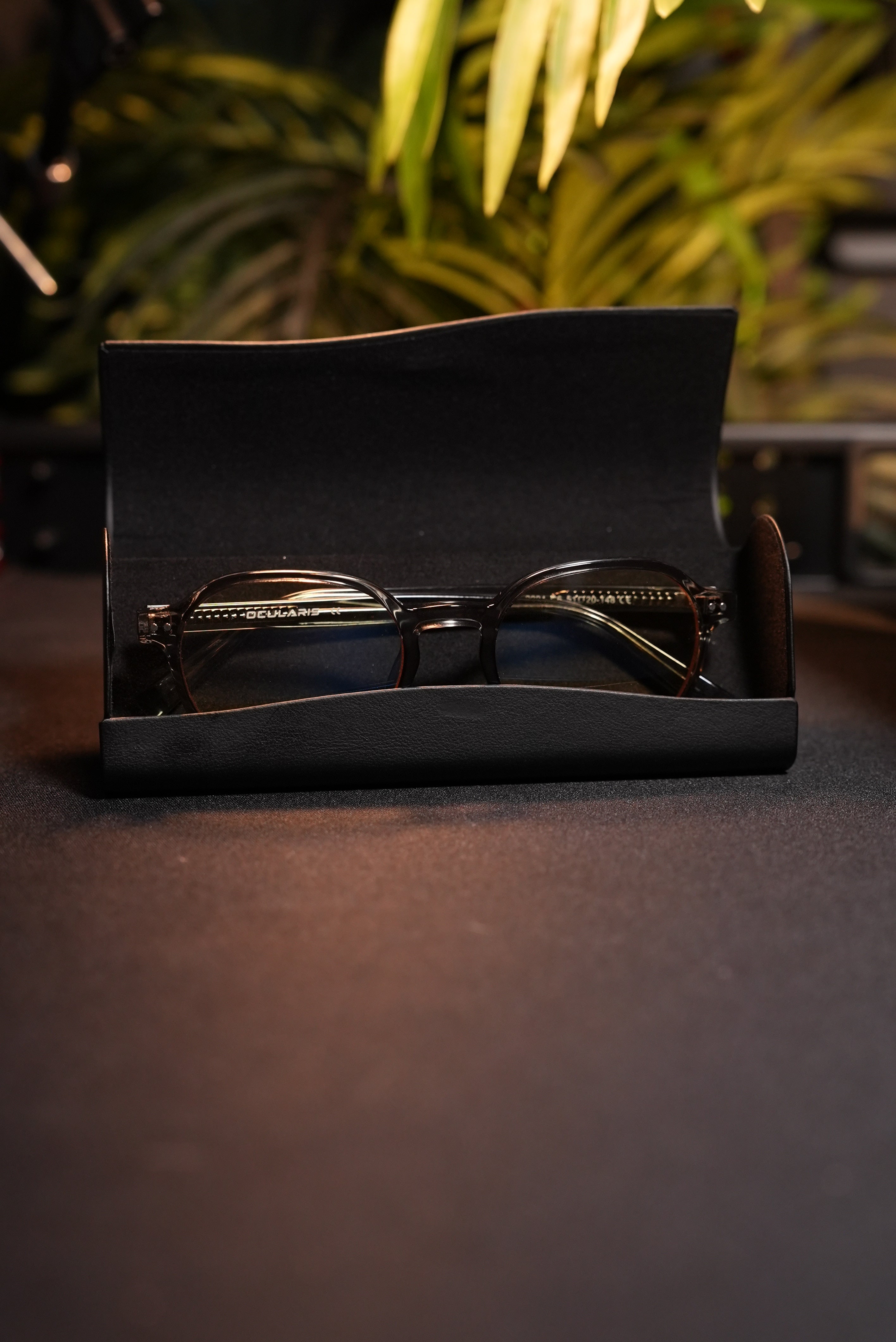 OCULARIS P.RO v4